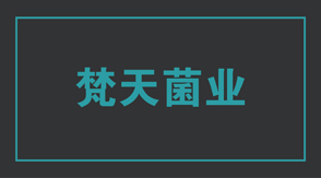 食品行業(yè)棗莊沖鋒衣設(shè)計(jì)款式